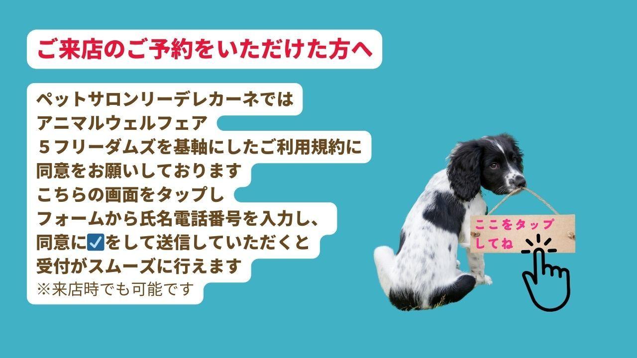 ペットサロンレイーデレカーネではアニマルウェルフェアに基づき、犬の心と体の健康に寄り添うサービスを行っています。ご利用前にこちらをタップして規約の同意をお願いしています